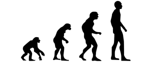 Darwin Optimisation Flux