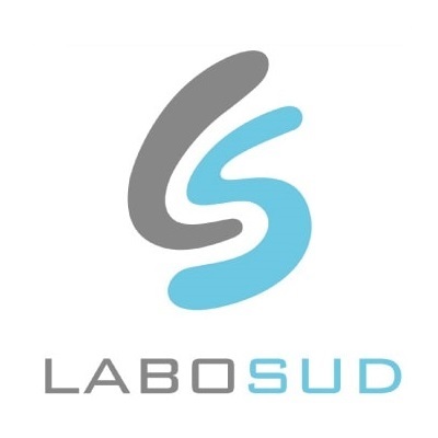 LaboSud: simulation de flux et optimisation de flux 