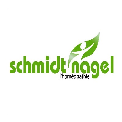 Schmidt-nagel :  simulation de flux et optimisation de flux 
