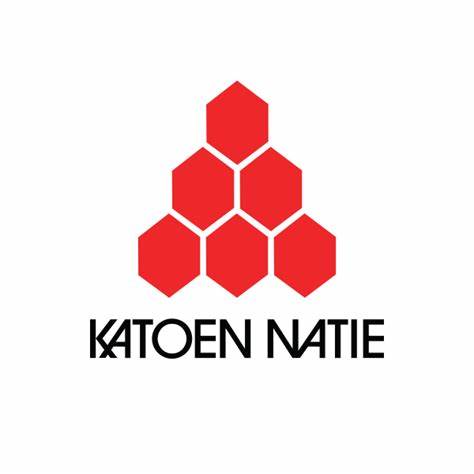 Katoen Natie: simulation de flux et optimisation de flux 